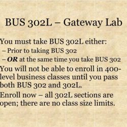 Csun bus 302 lab review