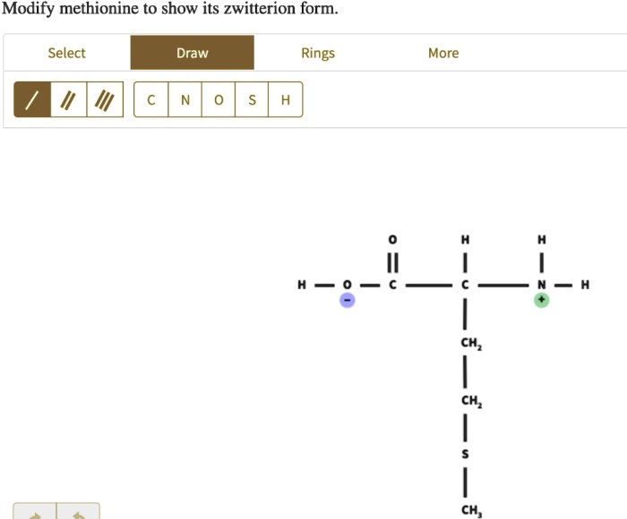 Modify methionine to show its zwitterion