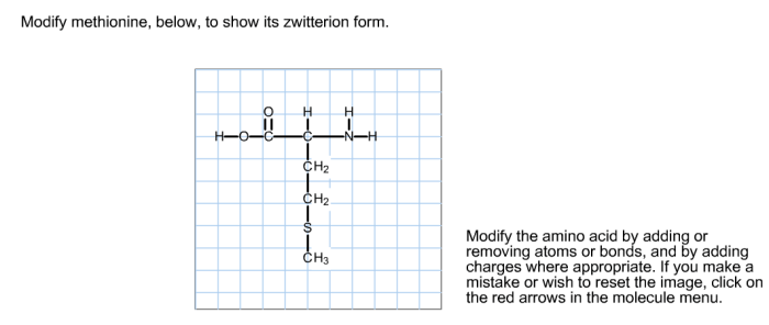 Modify methionine to show its zwitterion