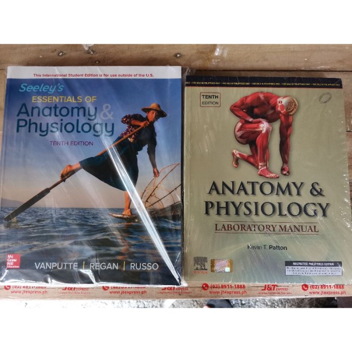 Laboratory manual for anatomy and physiology 7th edition answer key