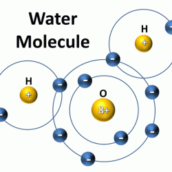 Make an electron distribution diagram of water