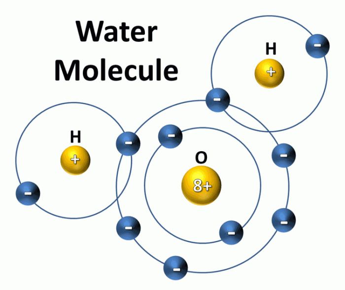 Make an electron distribution diagram of water