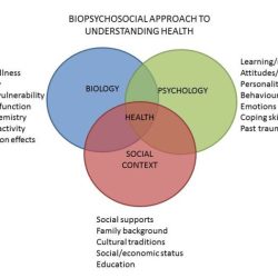 The controlling factor for the functionalist perspective is