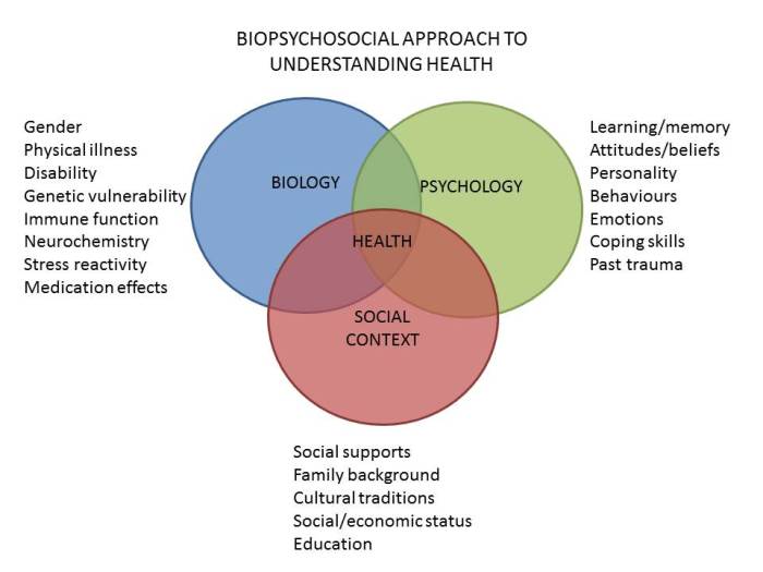 The controlling factor for the functionalist perspective is