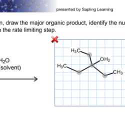 Draw reaction major sn1 following organic structure cyclopentane hlo transcribed text show chegg there solved