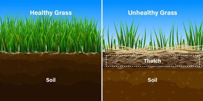 Turf soil samples should include the foliage and thatch layer.